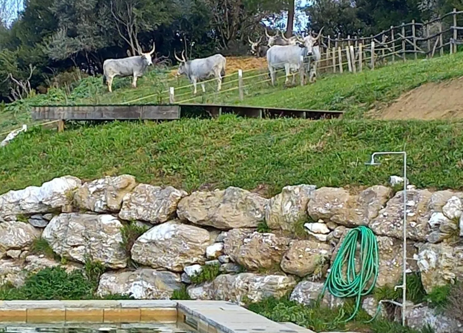 Country house Case Di Gello Montecatini Val di Cecina